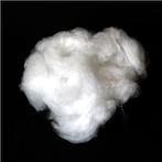 Fibra biosolubile Bulk